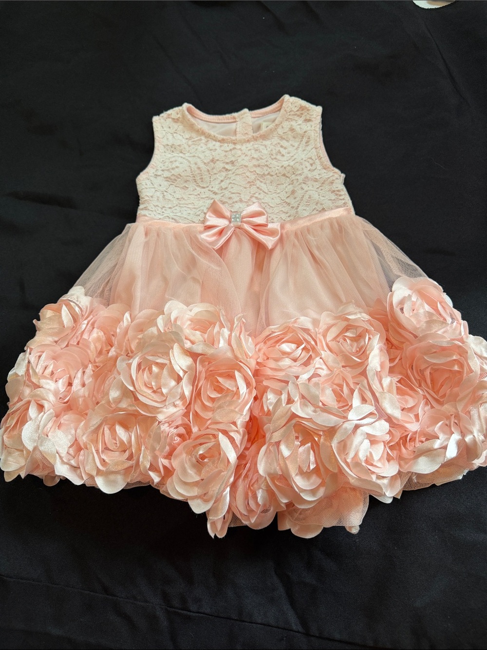 Nanette Baby Blush Pink Lace Bodice Rose Appliqué Tulle Dress
